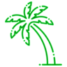 MiamiFuse